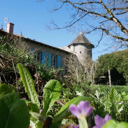 Séjour à la campagne De Caractère Du Xiiie Siècle Avec Cheminée Et Wi-fi - Fr-1-496-55 Marlhes